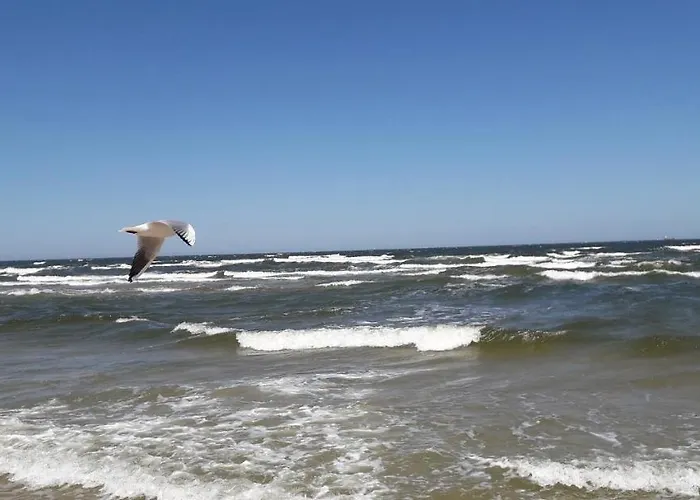 Holiday home Vorderdeck, Ahlbeck